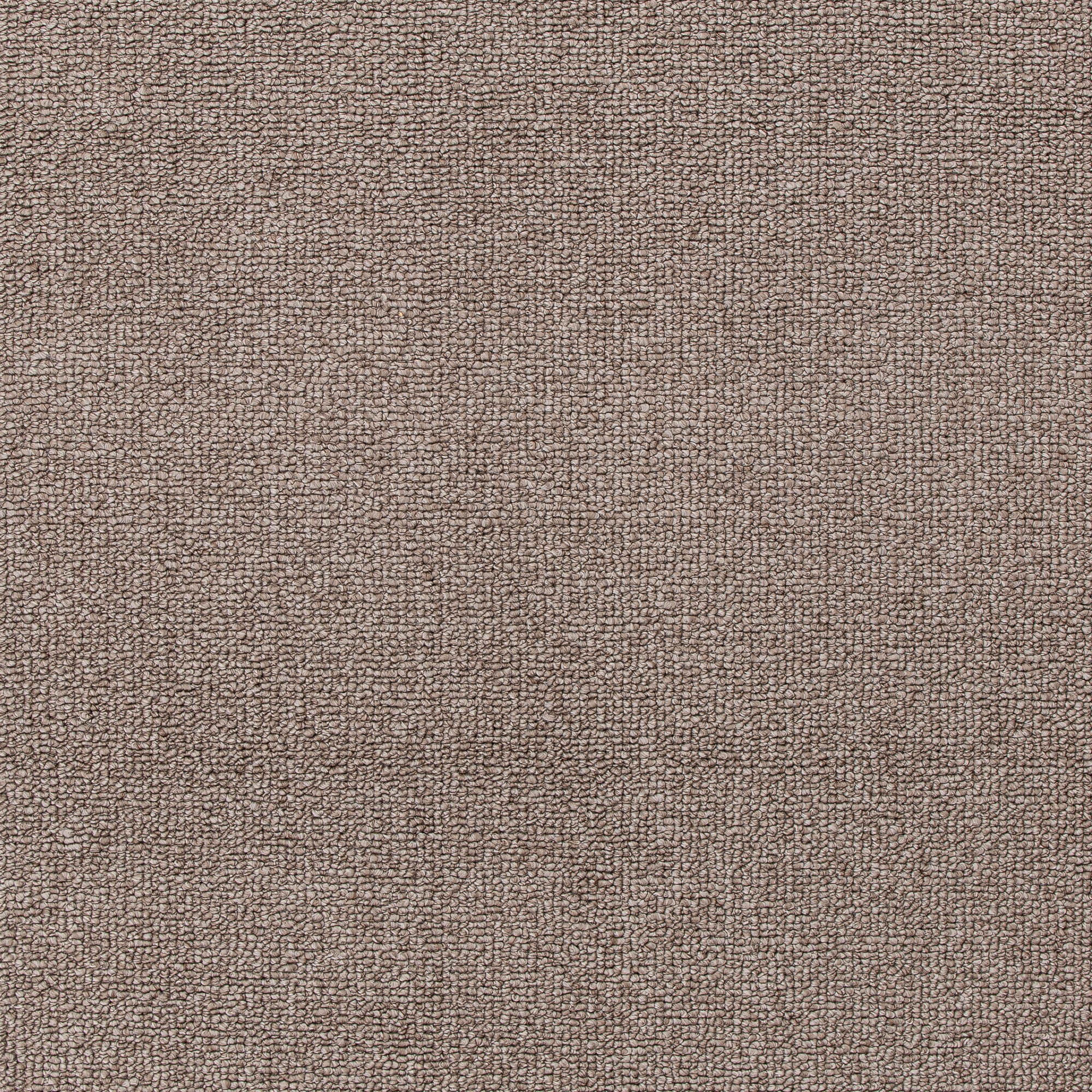 Teppich  Xilento Pure Loop Taupe