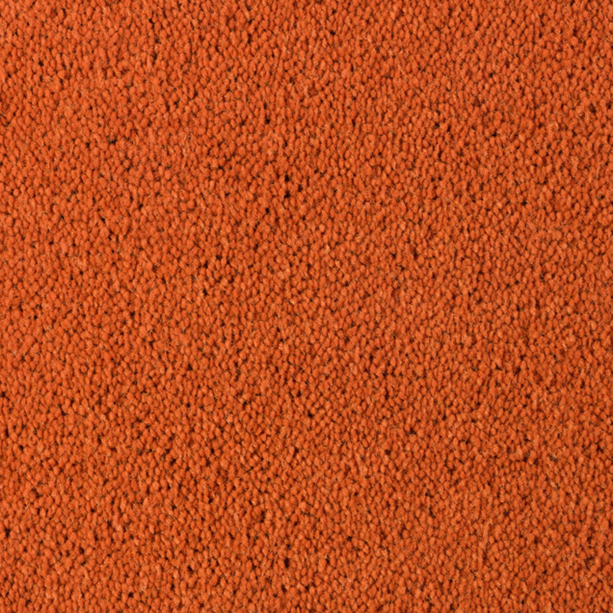 Vloerkleed Desso Asteranne 5101