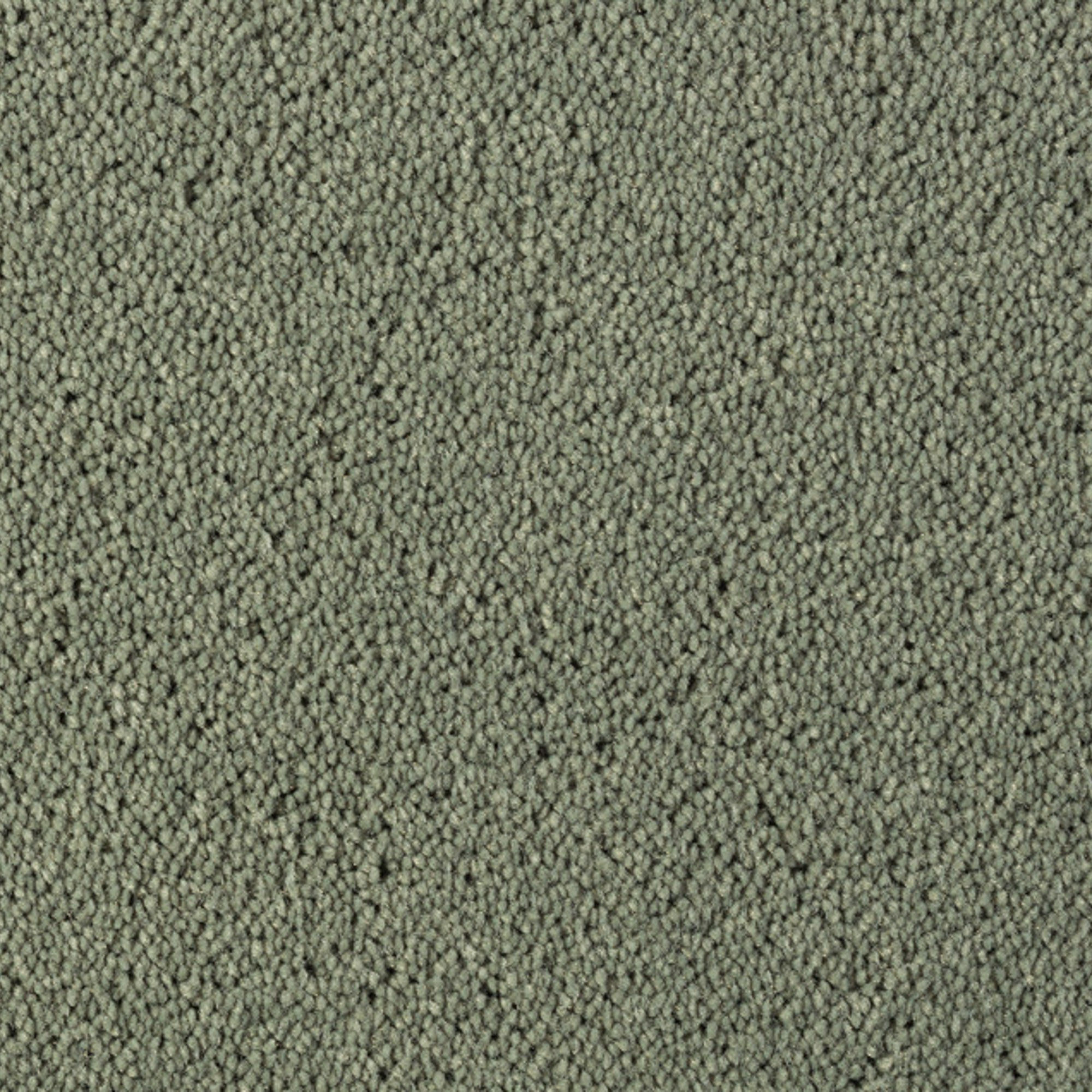 Vloerkleed Desso Asteranne 2903