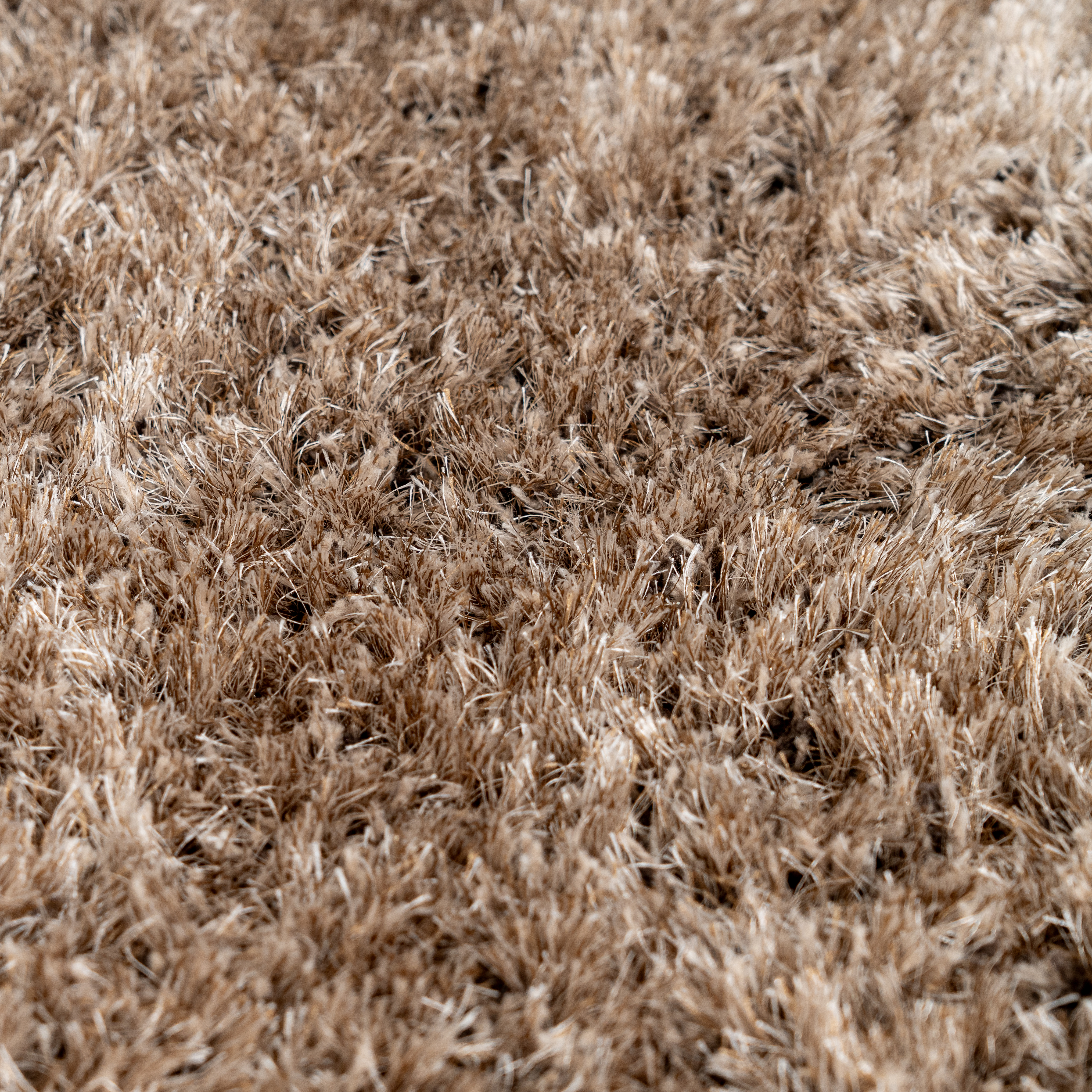 Teppich Xilento Superieur Beige