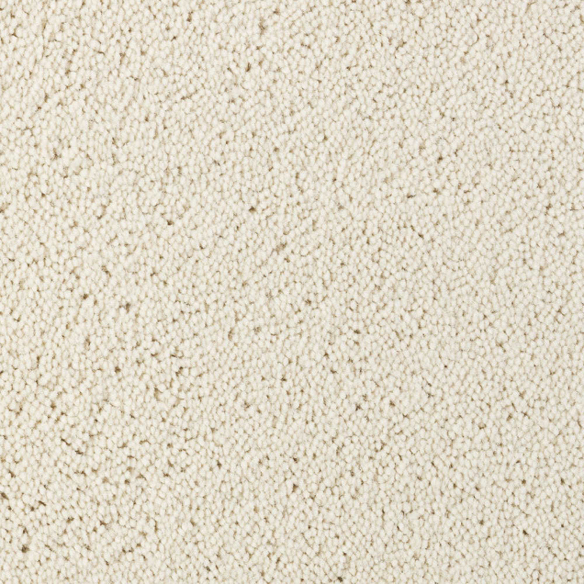 Vloerkleed Desso Asteranne 1002