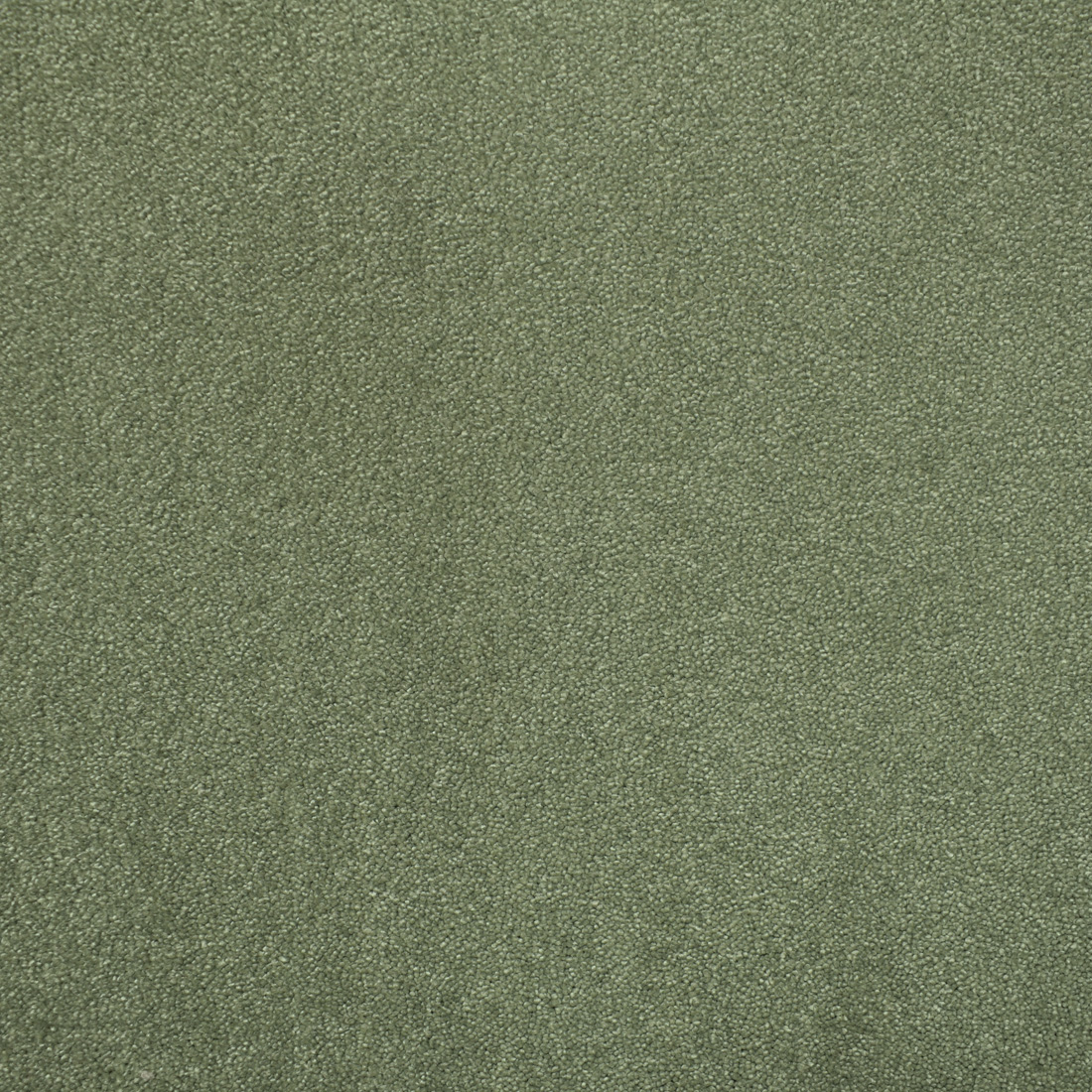 Teppich Xilento Shine Seegrün