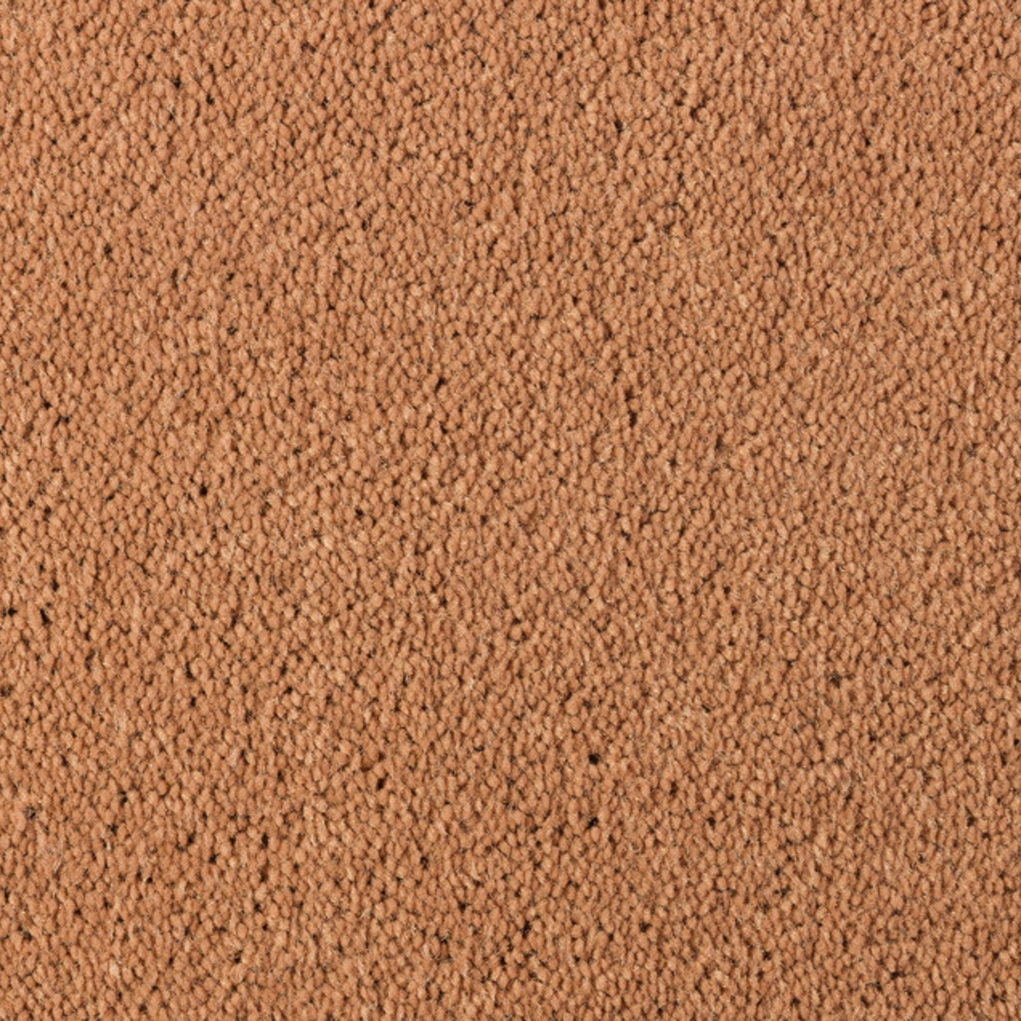 Vloerkleed Desso Asteranne 2055